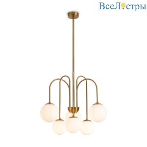 FR2065PL-06BS