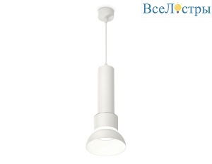 XP8110006