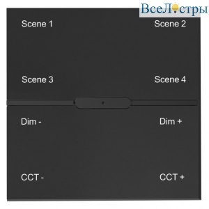 INN SP 48V-4-BK