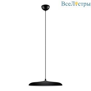 10119 Black