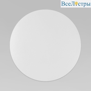 6011 Luna White