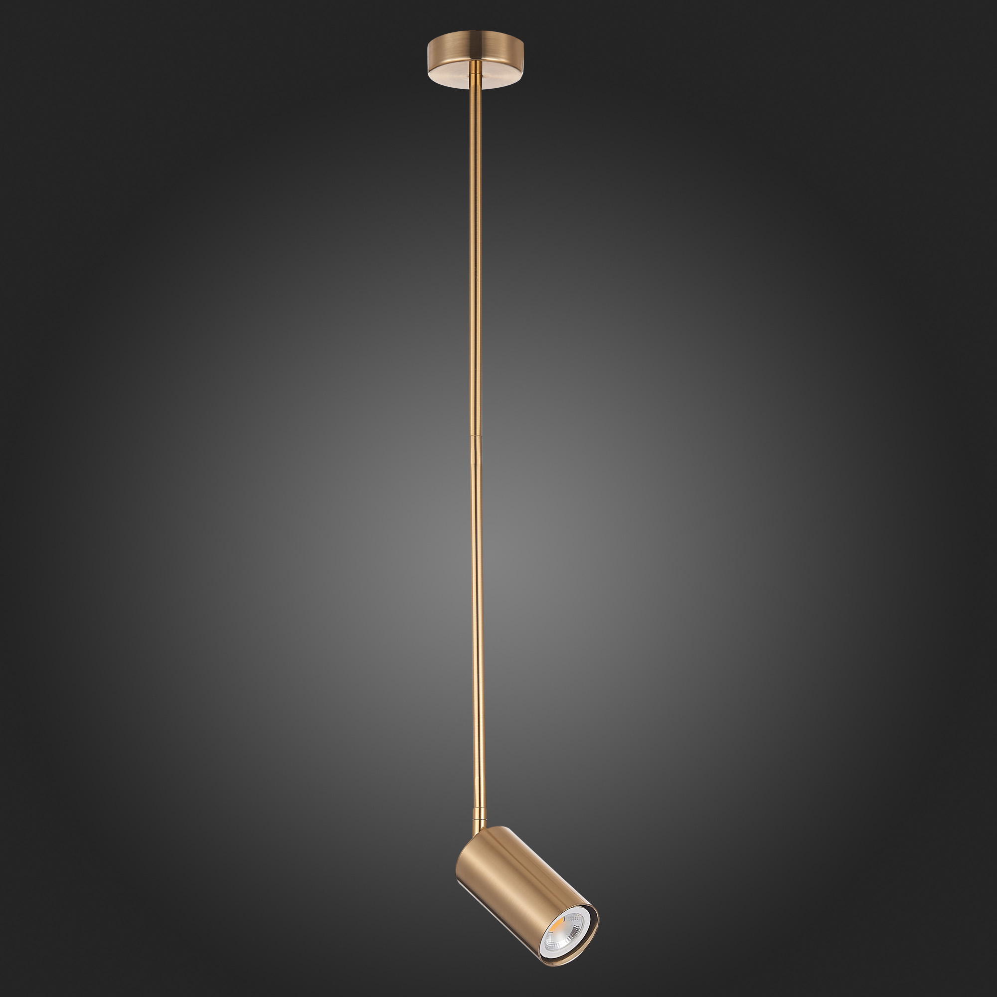 подвесной светильник st luce sormano sl1206.303.01