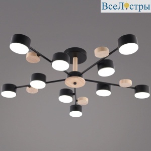 03758-0.3-10 BK+WOOD GX53
