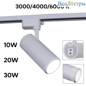 06650-9.3-LED10/20/30W CCT WT