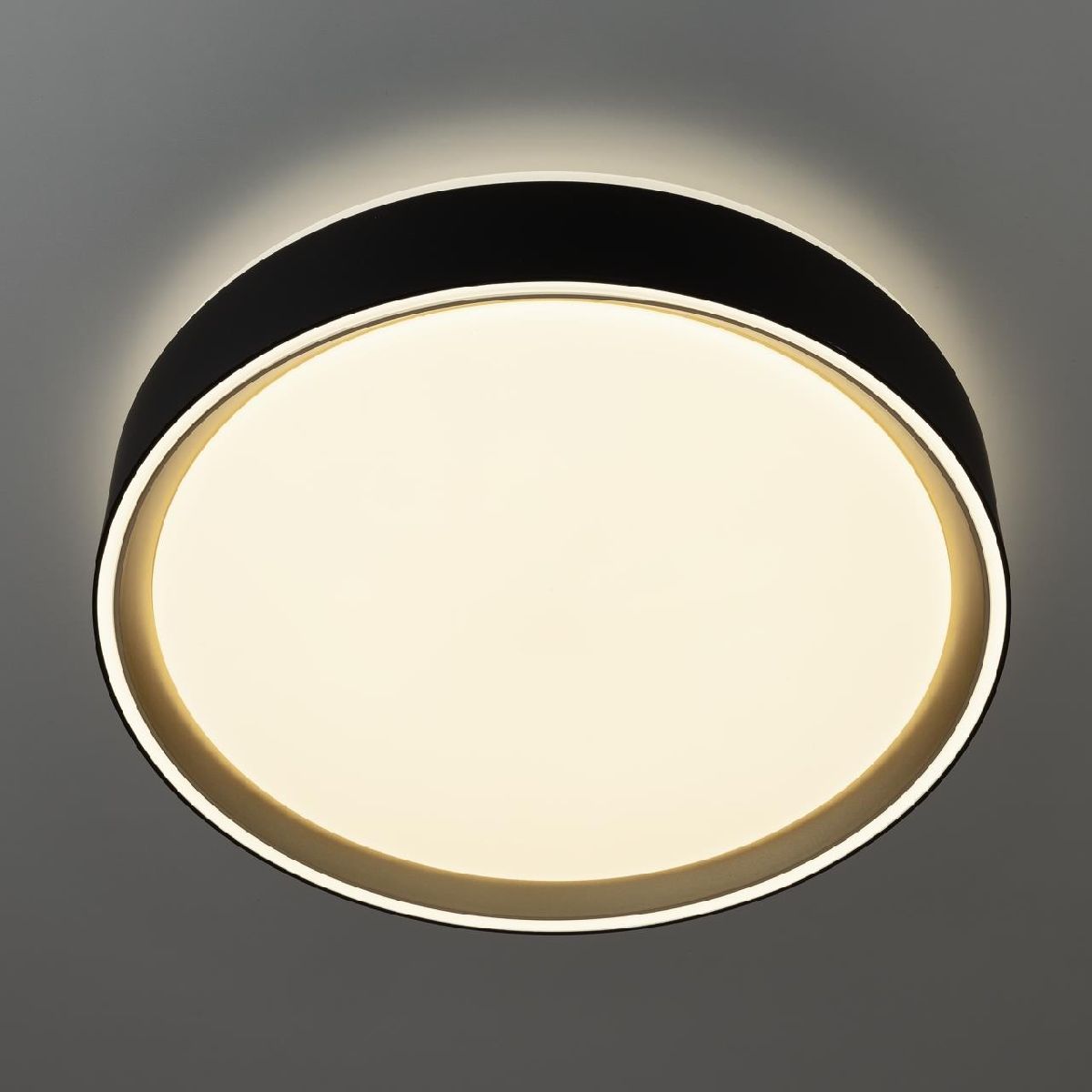 потолочный светильник citilux boss cl751251g