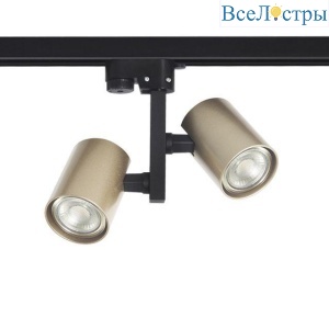 CLT 0.31 001 60C2 BL-BZ