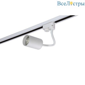 CLT 0.31 012 WH