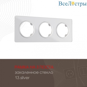 502.13-3.silver