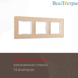 503.14-3.shampan