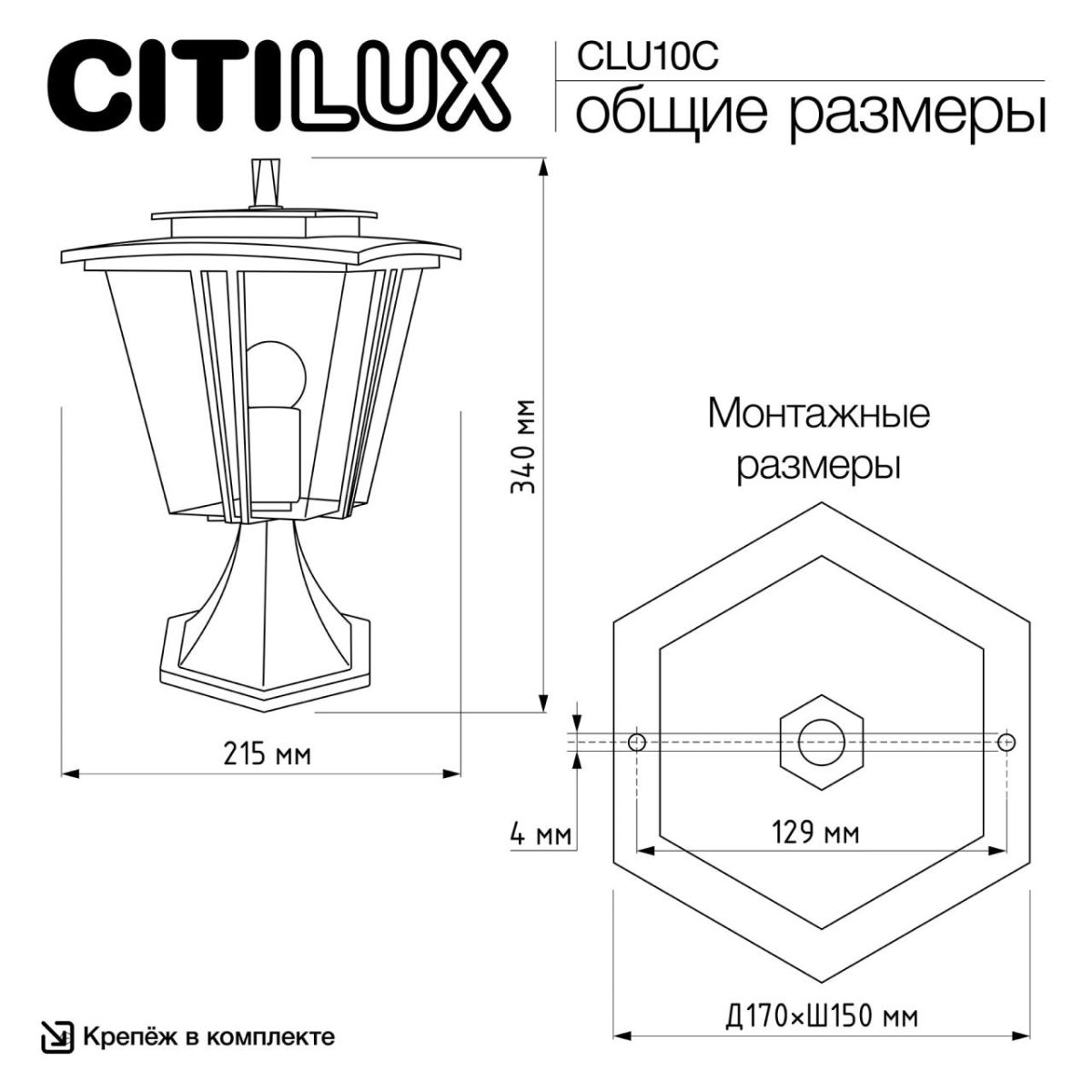 ландшафтный светильник citilux forts clu10c