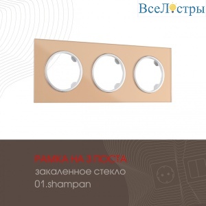 502.01-3.shampan