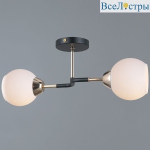 IL0689-2CSQ-24 BK FGD LIBRA