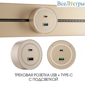 399732TS/USB-Type-C Gold