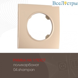 502.04-1.shampan