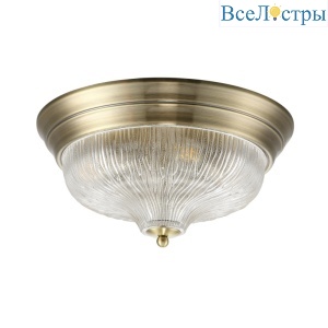 Lluvia PL4 Bronze D370