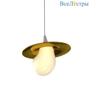 10238P/1 gold/white