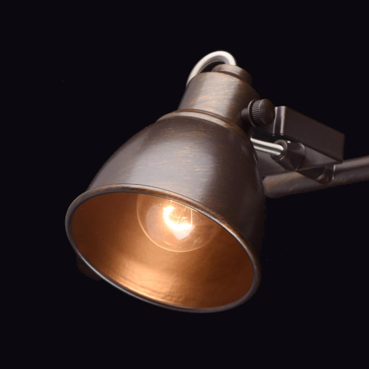 спот de markt ринген 547020702