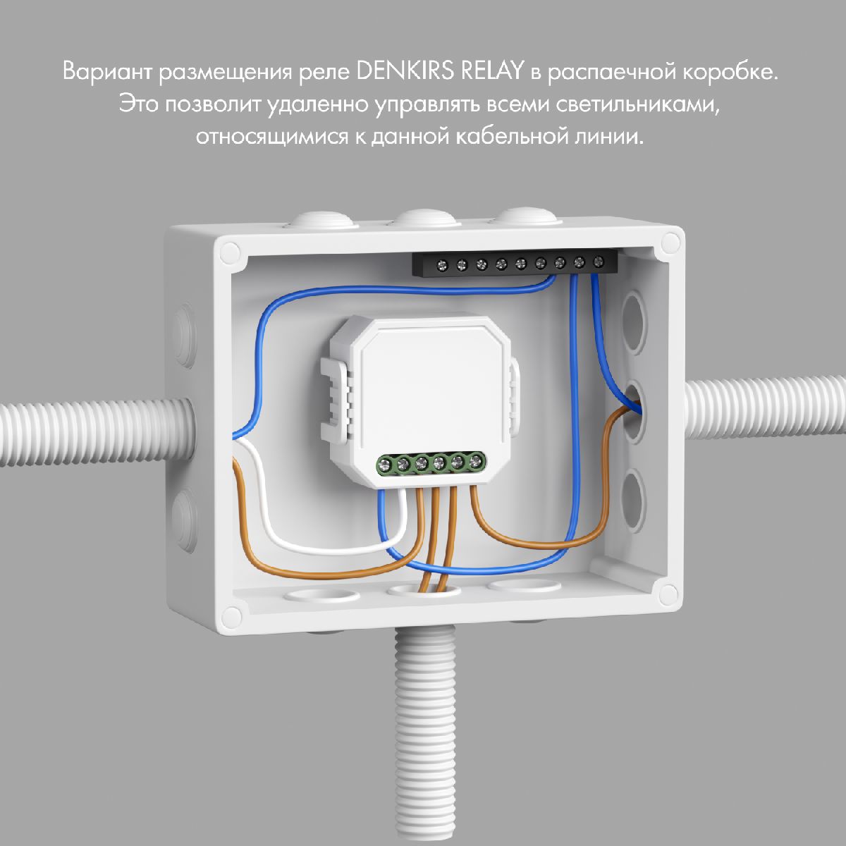 двухканальное wi-fi реле-диммер denkirs relay rl1004-dm/1