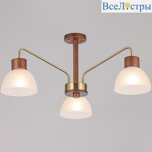 IL0286-3C-79 BR