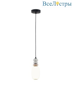 V11699-PL