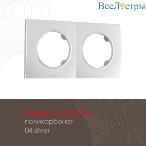 502.04-2.silver