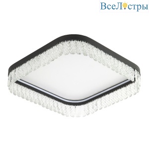 L8031-500 BK
