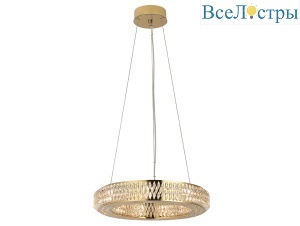 8560/40 C gold polished