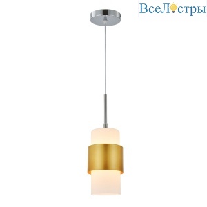 1169/1S Chrome/Gold