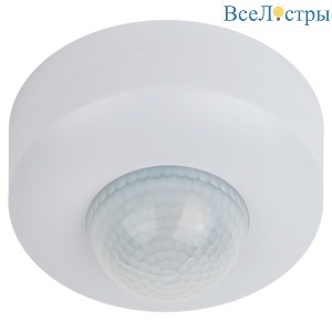 Б0043811