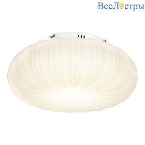 LSP-0921