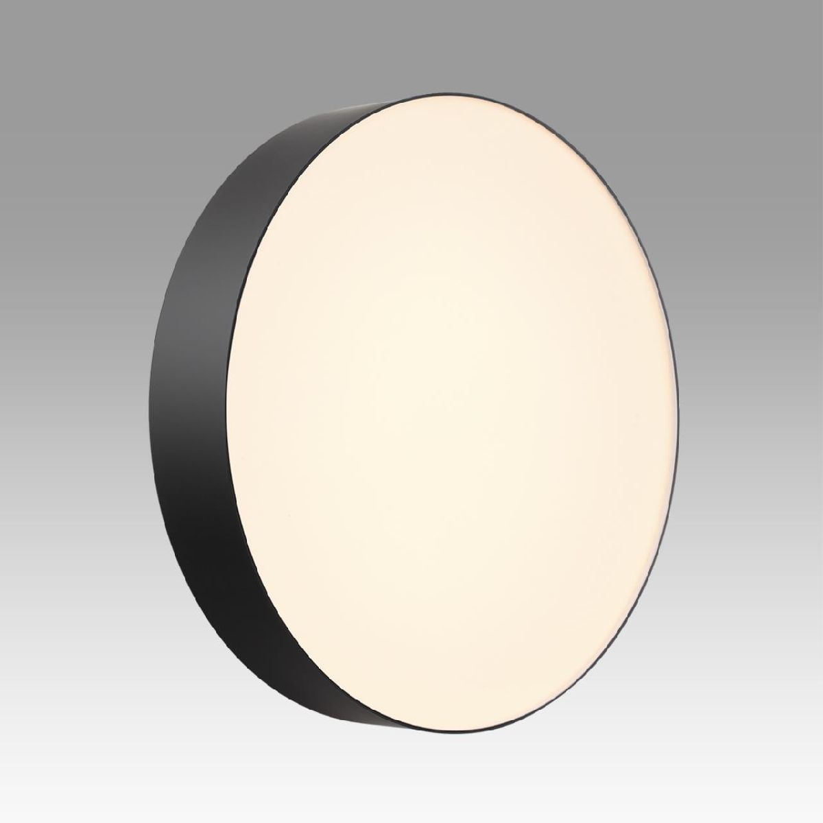 настенно-потолочный светильник sonex basica optima 7780/dl