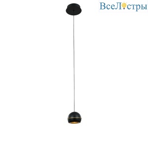 MD21001034-1A black/gold