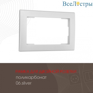 503.06-double.silver