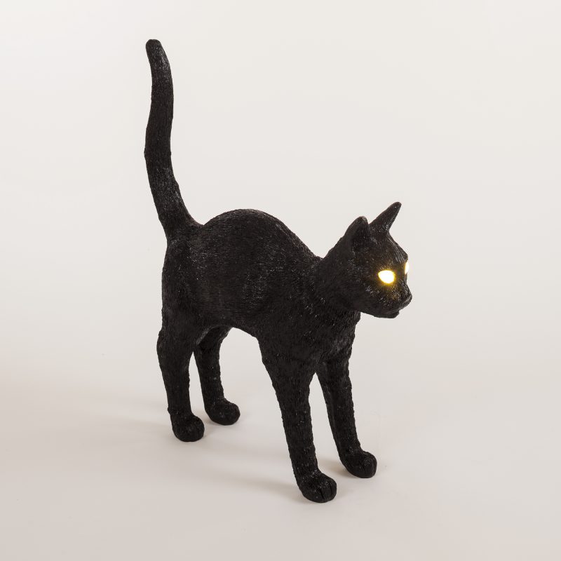 Cat Seletti
