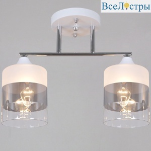 06916-0.3-02 WH+CR
