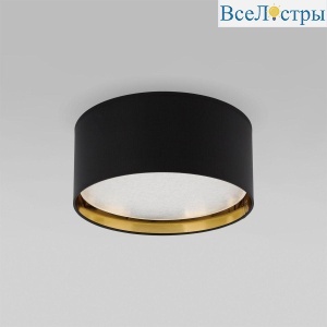 3376 Bilbao Black Gold