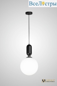 AM460 L250 BK