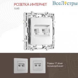 217.45-2.silver