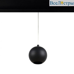 T024-06P