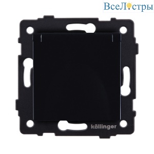 REA-006BK