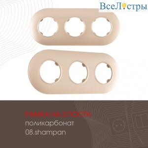 502.08-3.shampan