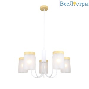 1172/5P White