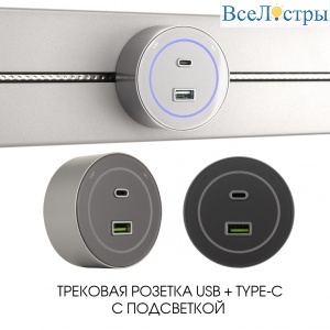 399732TS/USB-Type-C Silver