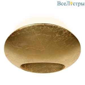 ZD8152-6W Gold