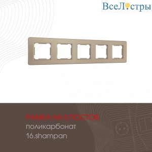 502.16-5.shampan