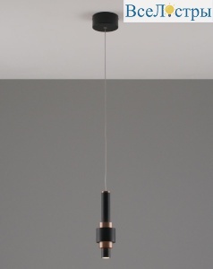 V10859-PL