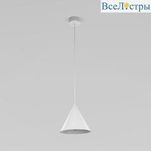 10007 Cono