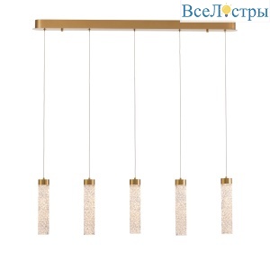 MD24030028-5B brass/clear