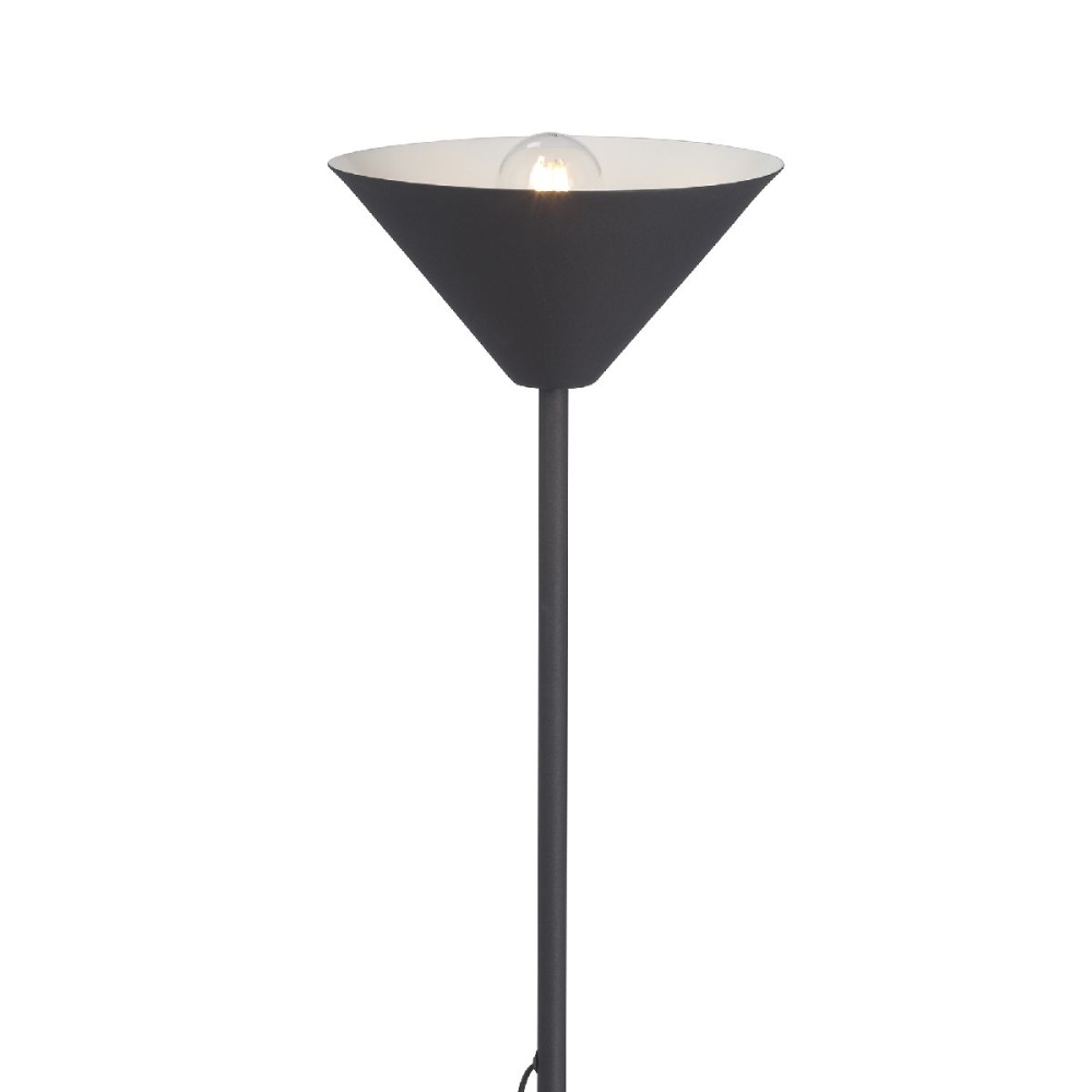 V2841 Vitaluce 