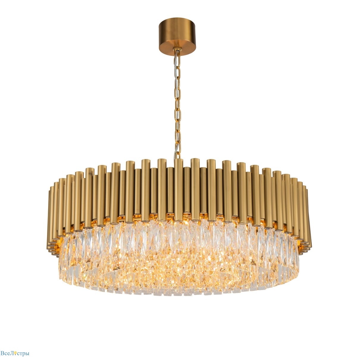 COLISEUM 535 L24.gold